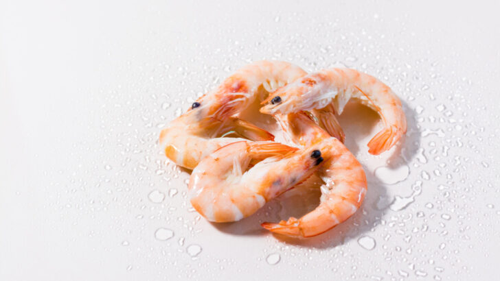Can You Refreeze Thawed Cooked Shrimp