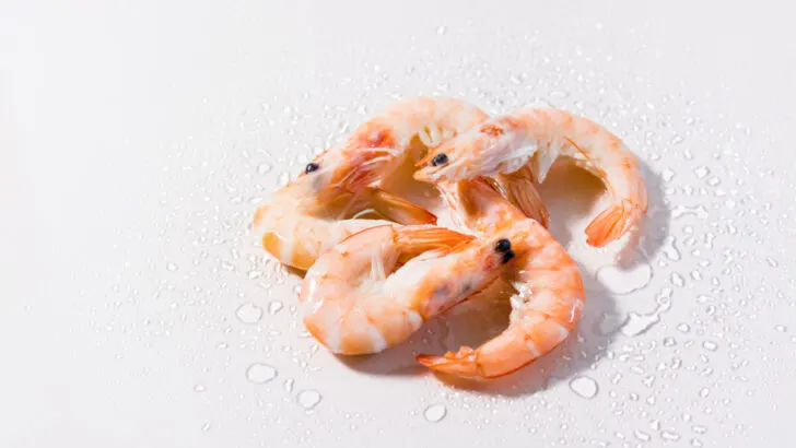 Can You Refreeze Thawed Cooked Shrimp