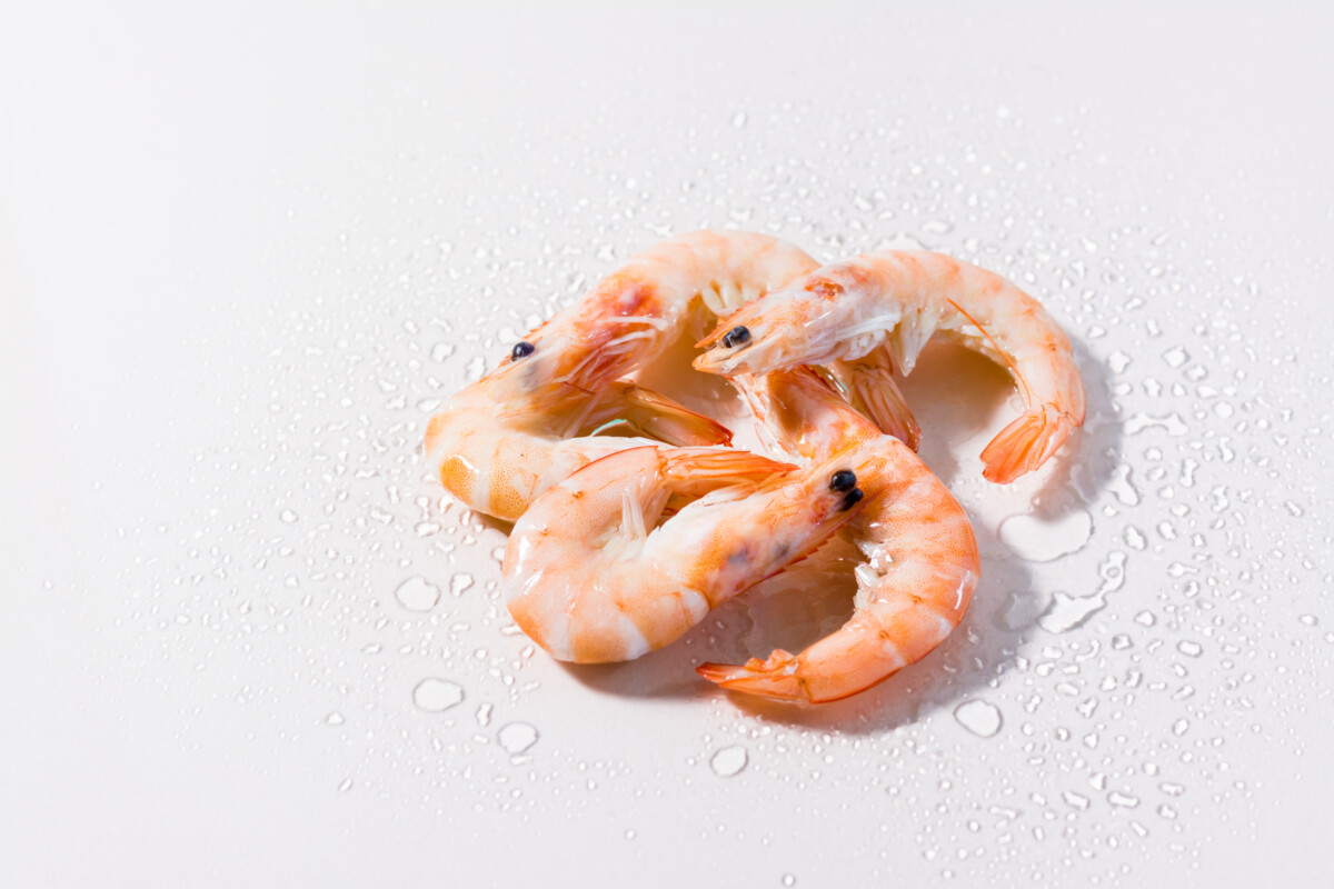 can-you-refreeze-shrimp-after-thawing