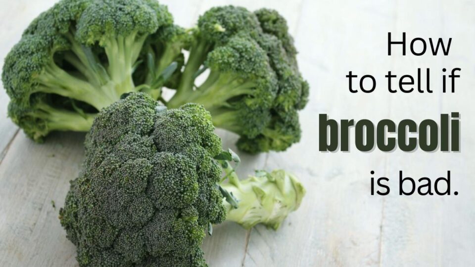 How To Tell If Broccoli Is Bad how-to-tell-if-broccoli-is-bad