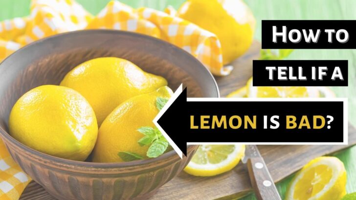 How to Tell If a Lemon Is Bad
