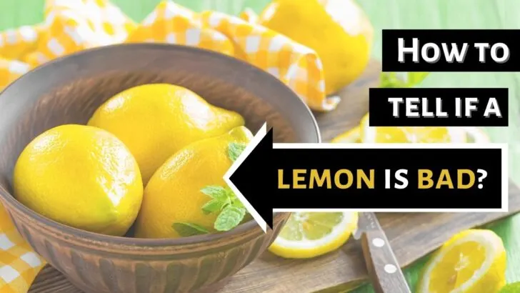 How To Tell If A Lemon Has Gone Bad