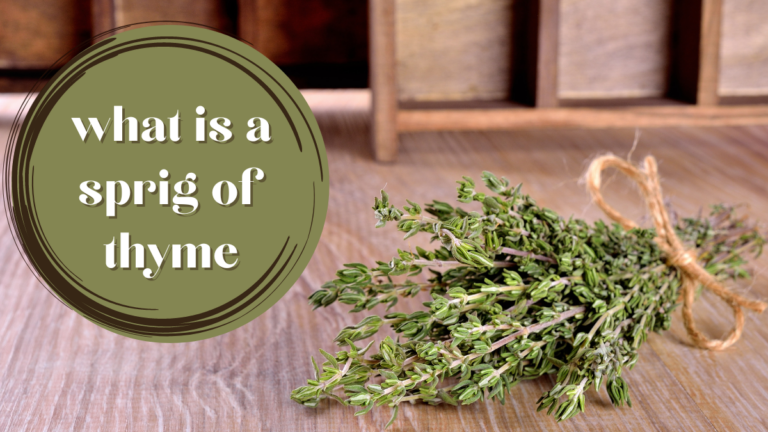 What Is A Sprig Of Thyme