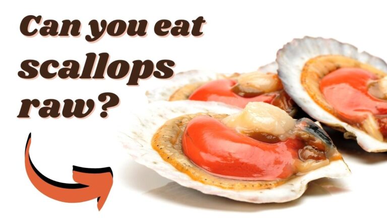 Can You Eat Scallops Raw