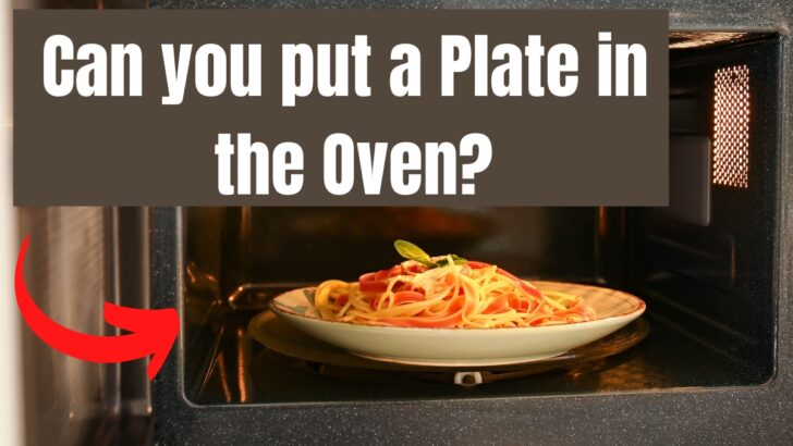 Can You Put a Plate In The Oven?