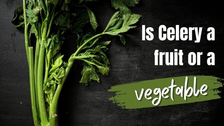 Is Celery A Fruit Or A Vegetable