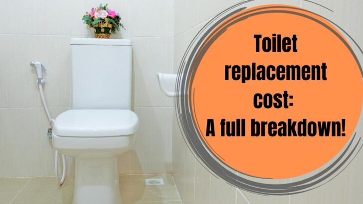 Toilet Replacement Cost A Full Breakdown!