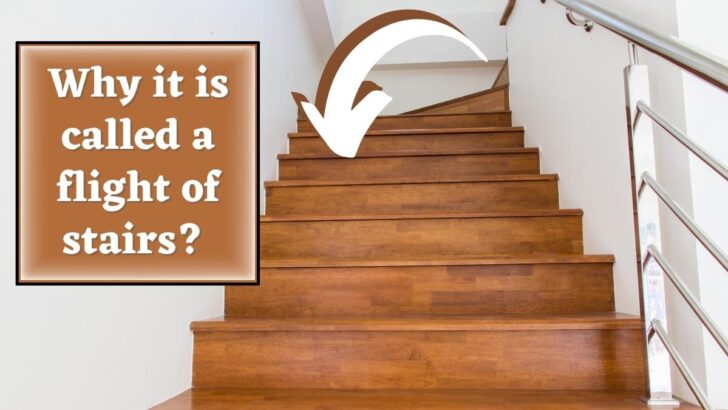 Why It Is Called a Flight of Stairs? 