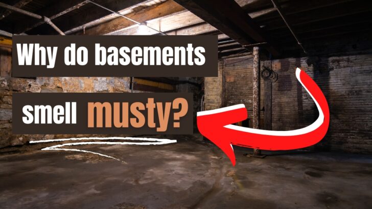 Why do basements smell musty
