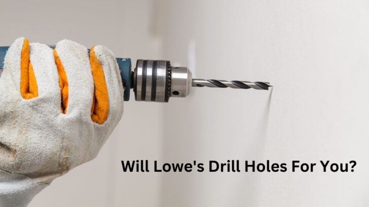 Will Lowe's drill holes for you