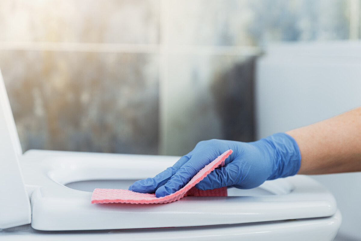 Can You Paint A Toilet?