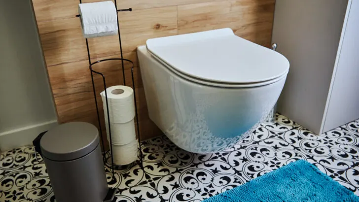 Ceramic toilet with toilet paper