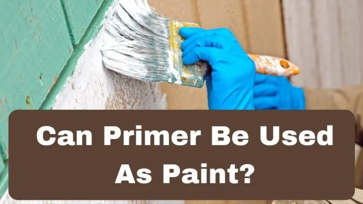 Can Primer Be Used As Paint?