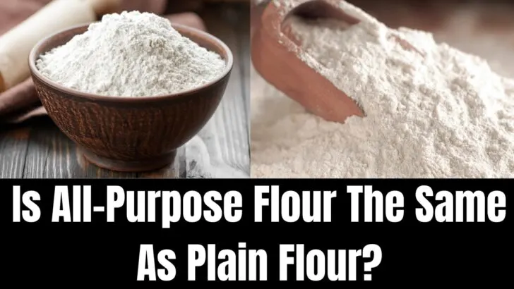 Is All-Purpose Flour The Same As Plain Flour
