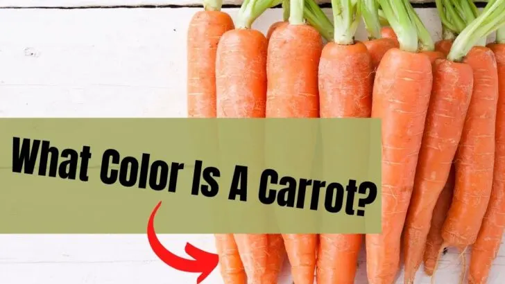What Color Is A Carrot
