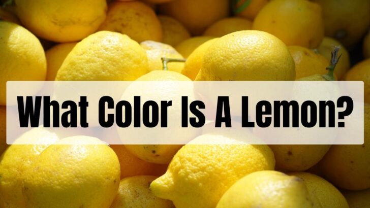 What Color Is A Lemon