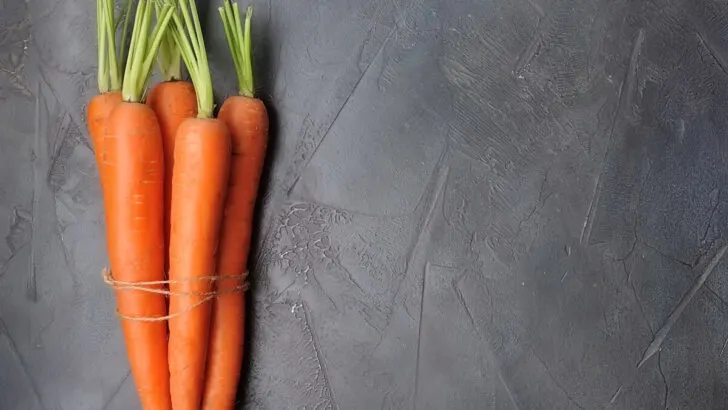 What gives carrots their various colours