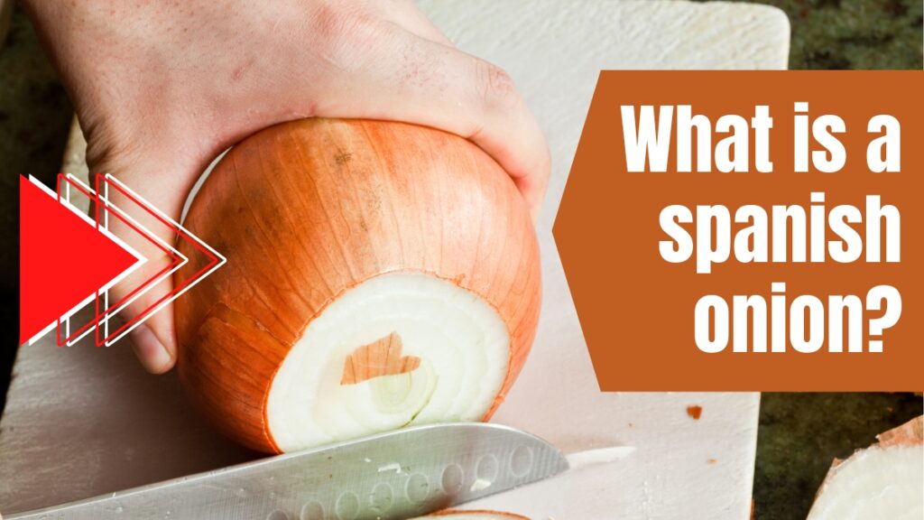 What Is a Spanish Onion?