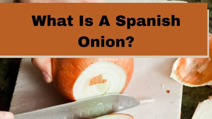 What is a spanish onion