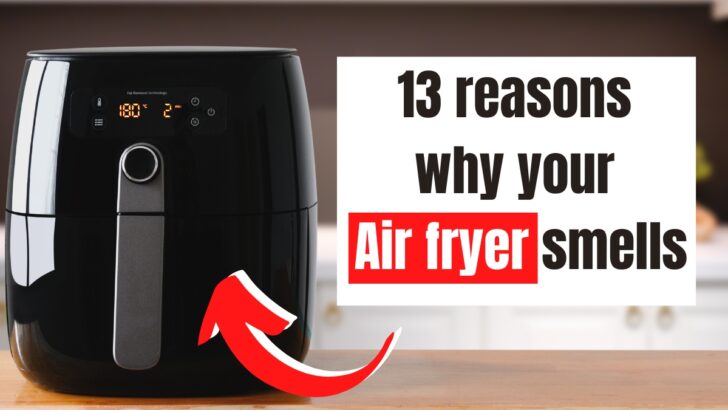 13 Reasons Why your Air Fryer Smells