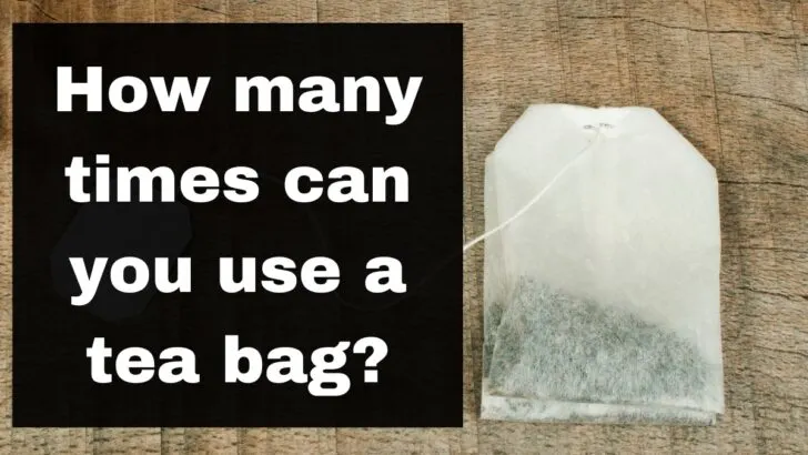 How many times can you use a tea bag
