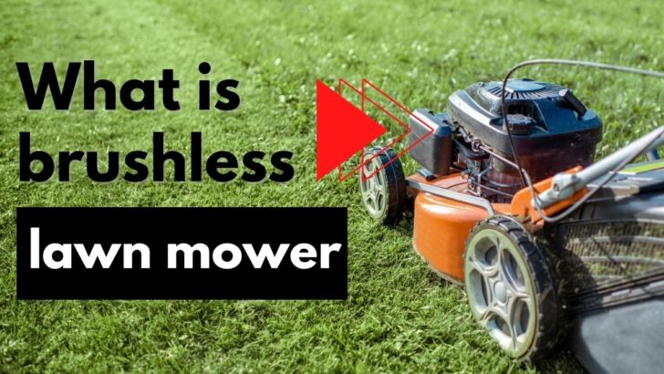 What Is Brushless Lawn Mower