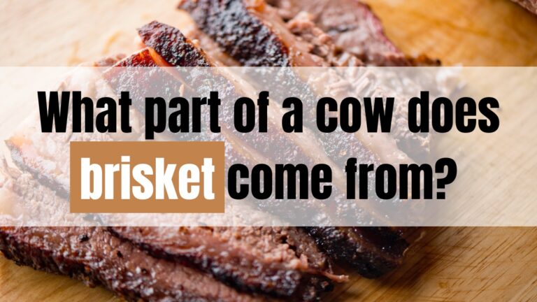 What Part of a Cow Does Brisket Come From