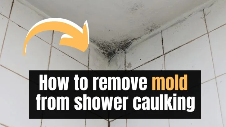 How to Remove Mold from Shower Caulking