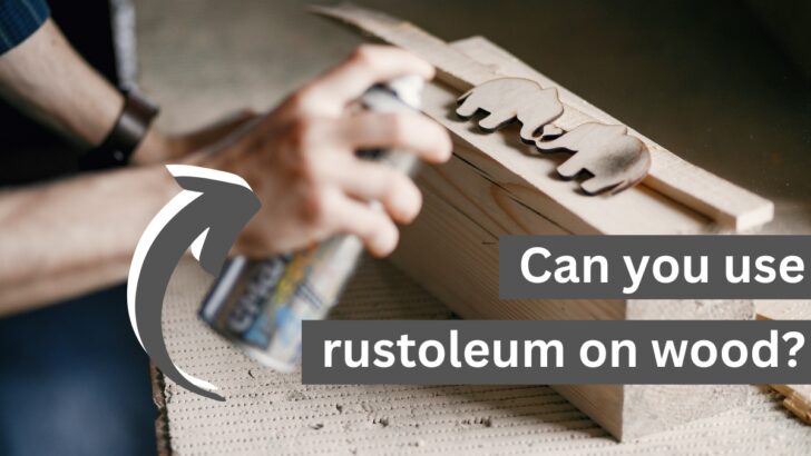 Can You Use Rust-Oleum On Wood?
