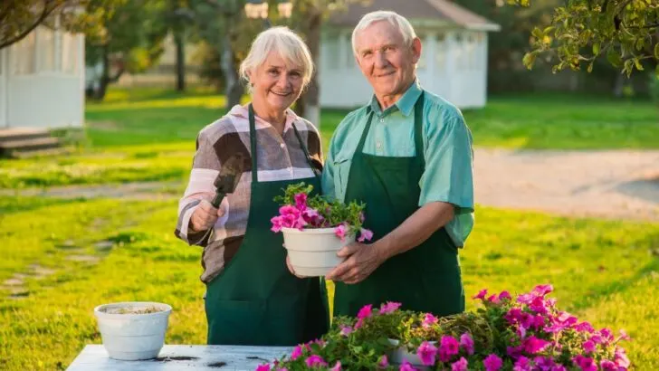 Elderly Couple gardening