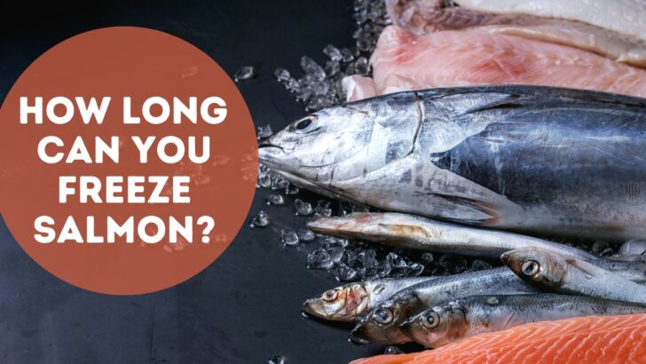 How Long Can You Freeze Salmon?