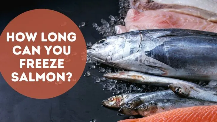 How long can you freeze salmon
