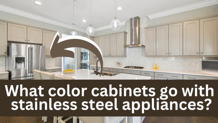 What color cabinets go with Stainless Steel Appliances