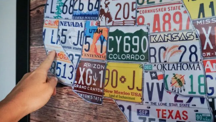 collage of united states license plates